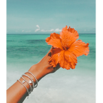 || Ocean's Closet ||