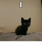 Kmls