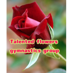 Talented Flowers Gymnastics