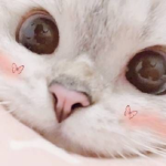 Hearts!<3