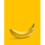 WE THE RHINOS AND BANANAS