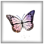 Butterfly~Bliss