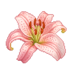 dairyroses
