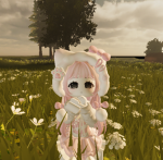 Doadora de robux:D