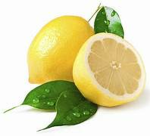 FuzzyLemon Studios