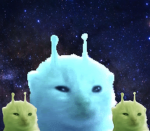 Kitsuneys