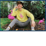 Flamingo is king and we are his friends