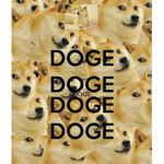 DOGE COMUNITY