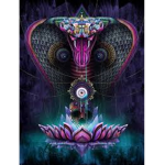 The Venemous King Cobra Sniper/Tech Team
