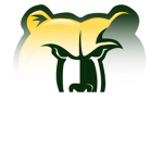GoldenBear Club
