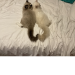 Libby and emily