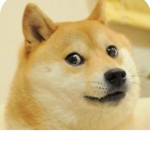 LeDoggo Army