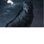 Wolfies Wolf Pack