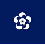 Republic of Korea : Presidential Security Service