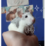 the rat crue