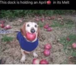 This dock is holding an April🍎 in its Melt