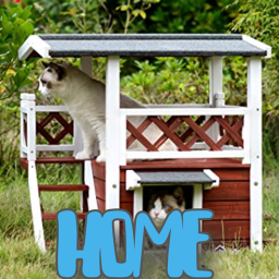 home for cats