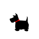 Scottish terriers are the best dogs ever