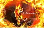 lit flaming tigers