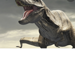 Dinos fan club!