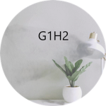 G1H2