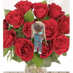Roses petal