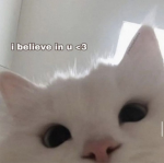 dreamies to dream idk