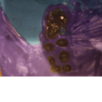 Bedwars sweats nightmare