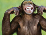 MLG MONKEY