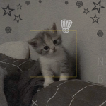 Cloud+