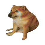 Doge with DRIP