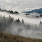 The Rising of The Fog