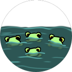 the colony