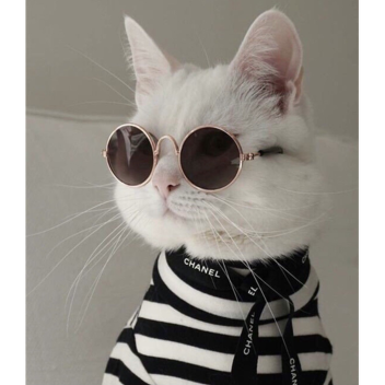 [GAMEPASSES ON SALE] WojtekIntention Simulator