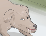 its ya boi weng