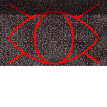 The Serpent’s hand supporters
