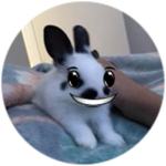 2X CASH BOOST Roblox game pass icon