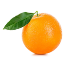 Groupe de PinguSurMars
