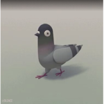 one day, pigeons will take over the world.
