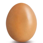 Egg and toast group