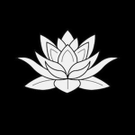[ IVORY LOTUS ]