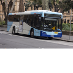 Bus Simulator Ranks