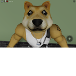 DOGS and CATS gaming