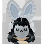 MR BUNNY SQUAD