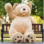 Teddy bear wore shippers