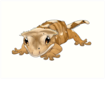 Crested Gecko studios