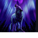{~Nightmoon Wolves~}