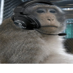 monky badge walk icon