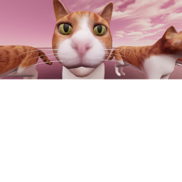 Cat Dance