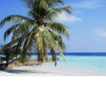 Tropical Game Studio